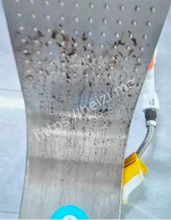 滨州职业学院