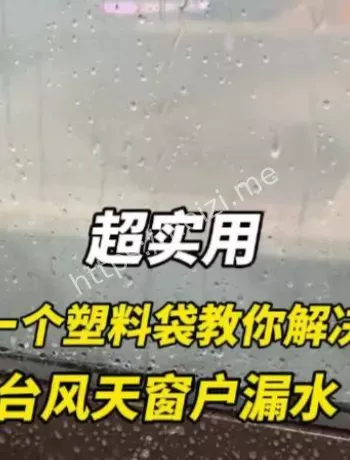 台风窗户漏雨应急
